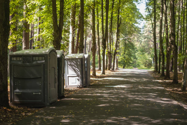 Best Portable bathroom rental  in Meadowbrook, VA